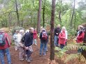 2012-10-11 10-14-33 Rando Fontainebleau- matin FGn